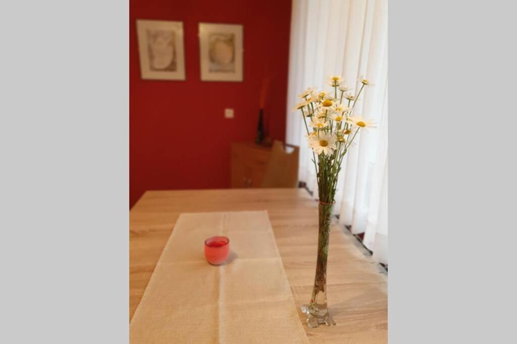 Apartma Kreda 莫斯特拉纳 外观 照片